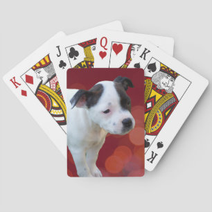 Black and White Staffy Puppy, Pokerkaarten