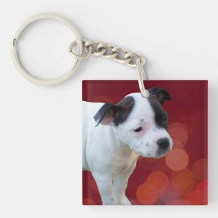 Black and White Staffy Puppy, Sleutelhanger