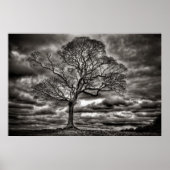 Black and White timeless Tree Poster (Devant)