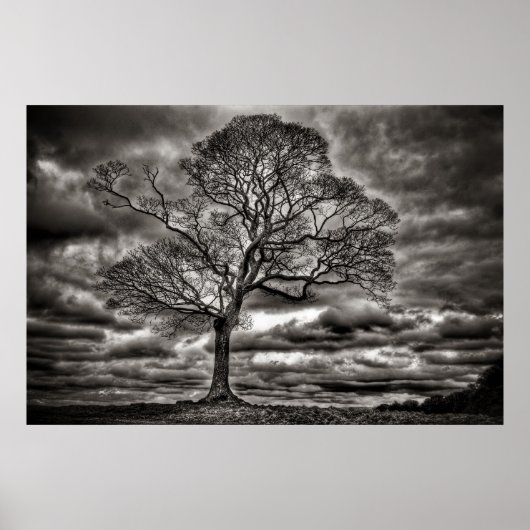 Black and White timeless Tree Poster (Devant)