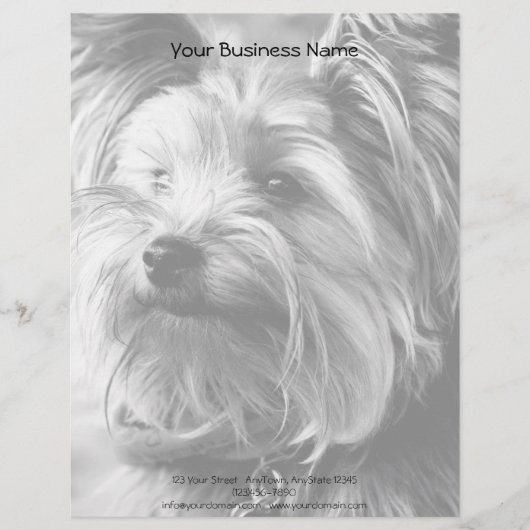 Black and White Yorkshire Terrier Yorkie Portrait Briefhoofd Ontwerp (Voorkant)