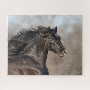 Black Andalucian Headshot Mane Fans Legpuzzel