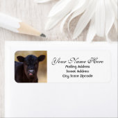 Black Angus Calf Return-adres Etiket (Insitu)
