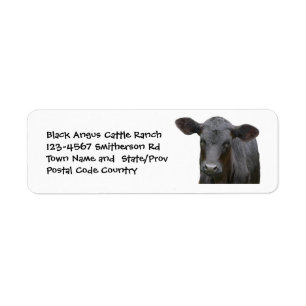 Black Angus Cattle Boerderij of Ranch Sticker