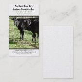 Black Angus Cattle Ranch Visitekaartje (Voorkant / Achterkant)