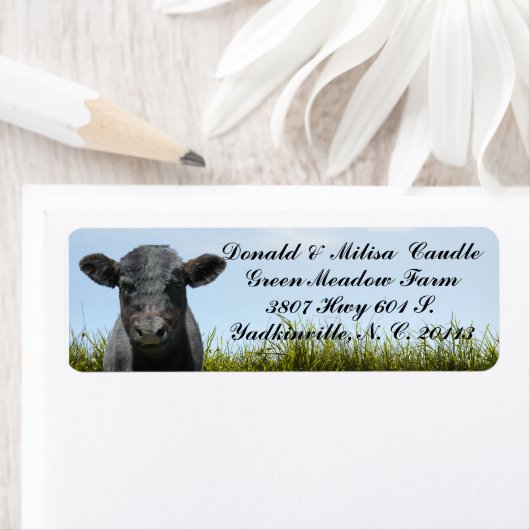 BLACK ANGUS ETIKET (Insitu)