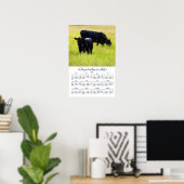 Black Angus in Yellow Grass 2011 muurkalender Poster (Thuiskantoor)