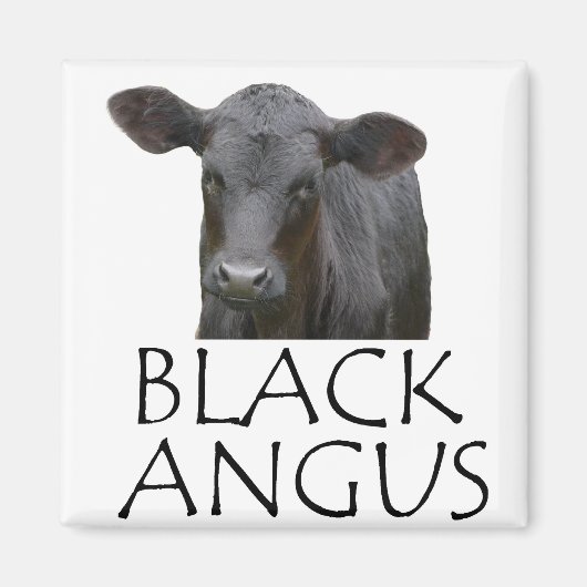 Black Angus Koe Magneet (Voorkant)