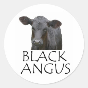 Black Angus Koe Ronde Sticker