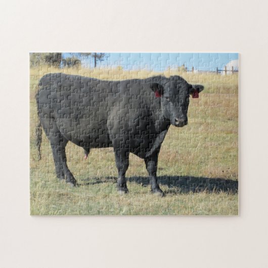 Black Angus op pasture Legpuzzel (Horizontaal)