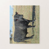 Black Angus op pasture Legpuzzel (Verticaal)