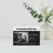 Black Angus Ranch ou Cartes de visite d'approvisio (Debout devant)