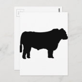 Black Angus Silhouette Briefkaart (Voorkant / Achterkant)