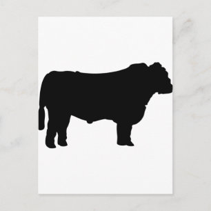 Black Angus Silhouette Briefkaart