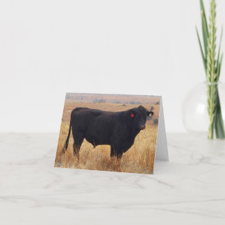 Black Angus Steer Grazing met zijn herd Bedankkaart