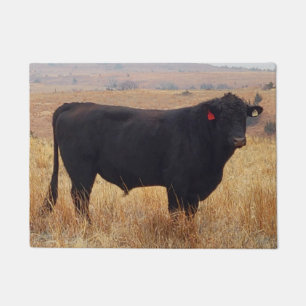 Black Angus Steer Grazing met zijn herd Deurmat