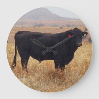 Black Angus Steer Grazing met zijn herd Grote Klok