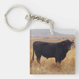 Black Angus Steer Grazing met zijn herd Sleutelhanger