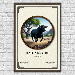 Black Angus Stier Zoölogische Serie Poster