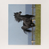 Black Arab Stallion Running Mane Flow Legpuzzel (Verticaal)