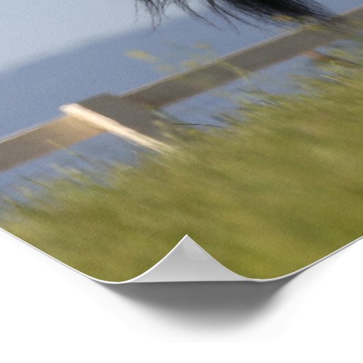 Black Arab Stallion Running Mane Flow Poster (Hoek)