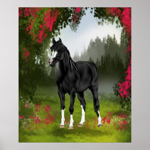 Black Arabian Horse in Spring Meadow Poster