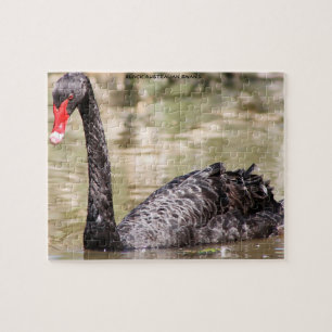 Black Australian Swans Legpuzzel