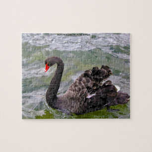Black Australian Swans Legpuzzel