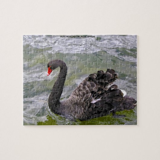 Black Australian Swans Legpuzzel (Horizontaal)