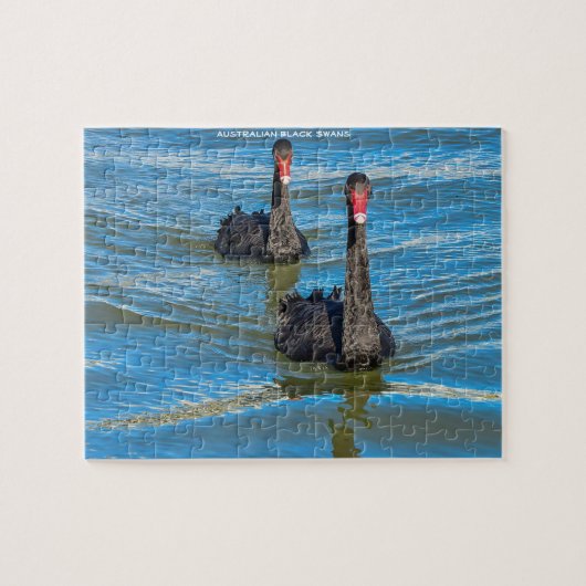 Black Australian Swans Legpuzzel (Horizontaal)