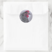 Black Australorp Hen Ronde Sticker (Tas)