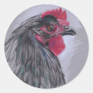 Black Australorp Hen Ronde Sticker