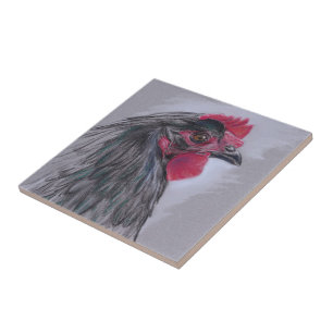 Black Australorp Hen Tegeltje