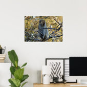Black Baboon Poster (Thuiskantoor)