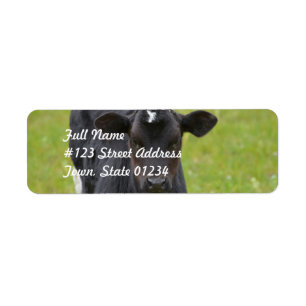 Black Baby Calf Etiket