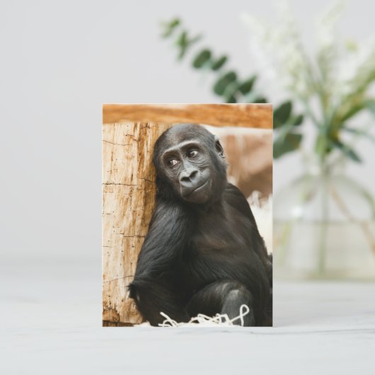 Black Baby Monkey Briefkaart (Staand voorkant)