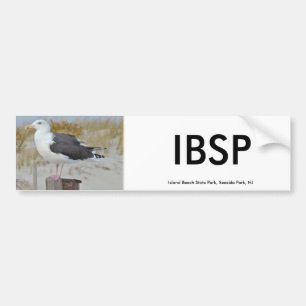 Black Backed Gull Seagull-reeks Bumpersticker