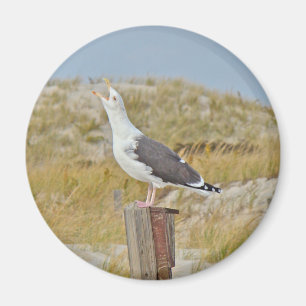 Black Backed Gull Seagull-reeks Magneet