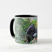 Black & Bay New Forest Ponies, Hampshire, Engeland Mok (Voorkant links)