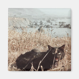 Black Beach Kat Magneet