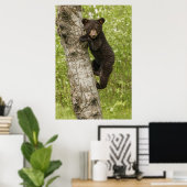 Black Bear Cub in Tree Poster (Thuiskantoor)