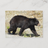 Black Bear Head Study Cartes de visite de la faune (Dos)