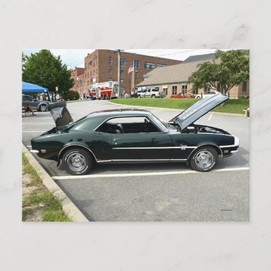 Black Beauty 2 Briefkaart (Voorkant)