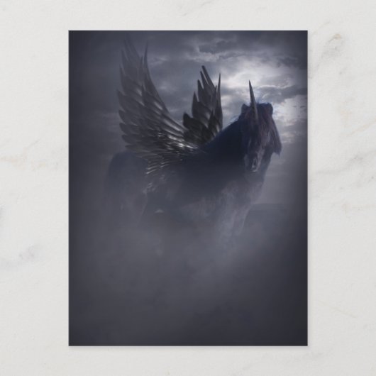 Black Beauty Briefkaart (Voorkant)