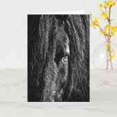 Black Beauty - Carte de voeux (Fleur jaune)