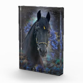 Black Beauty Friesian Horse - Bloc photo (Droite)