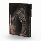 Black Beauty Friesian Horse - Bloc photo (Droite)