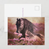 Black Beauty Friesian Horse - Briefkaart (Voorkant / Achterkant)