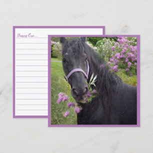 Black Beauty Friesian Horse - Carte de voeux