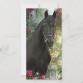 Black Beauty Friesian Horse - Carte de voeux (Devant)